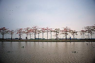 抢先体验：枪战实验室全面削弱连狙，来玩投石机啦！